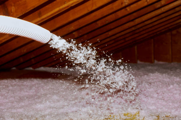Best Commercial Insulation in Poncha Springs, CO